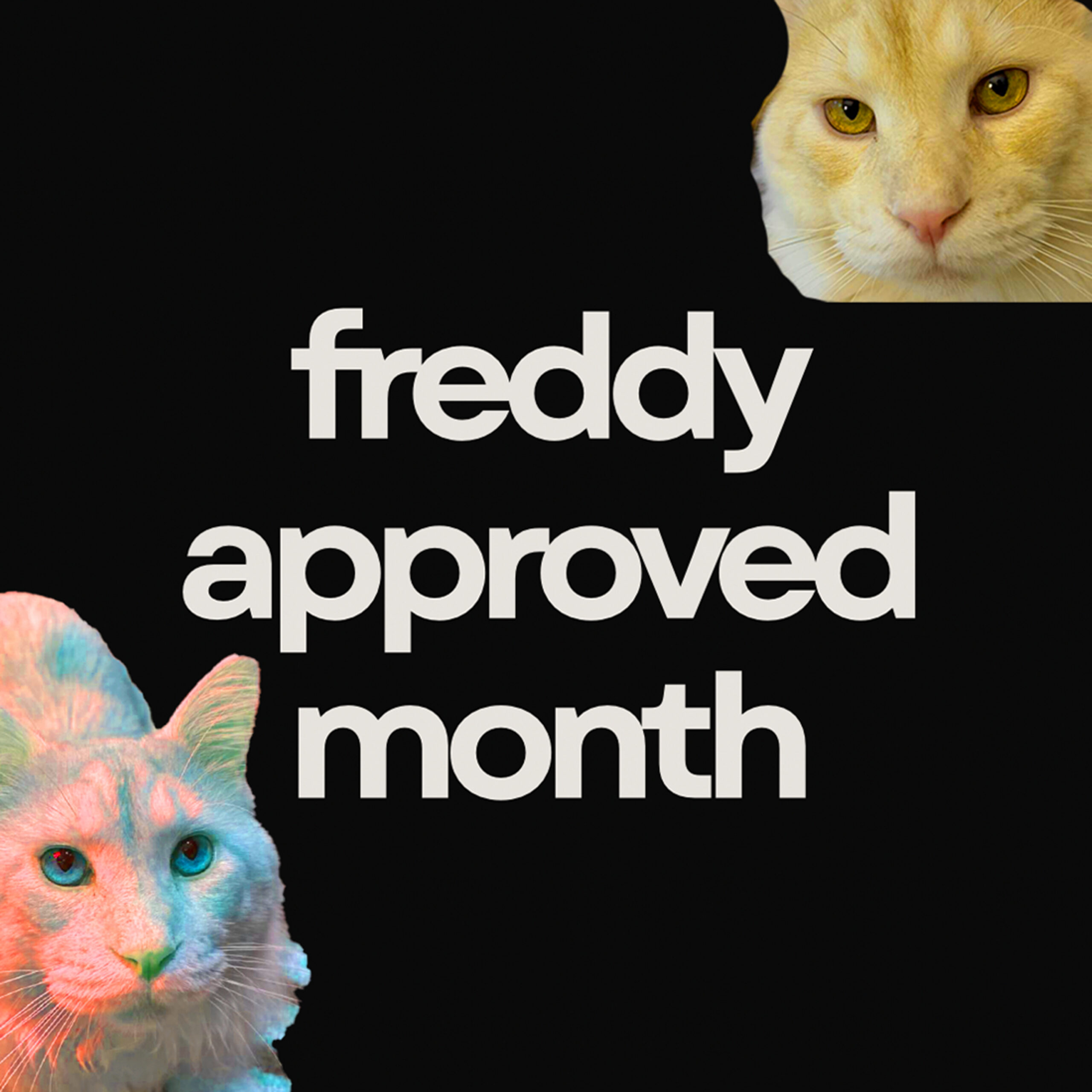 Month for Ryan :)